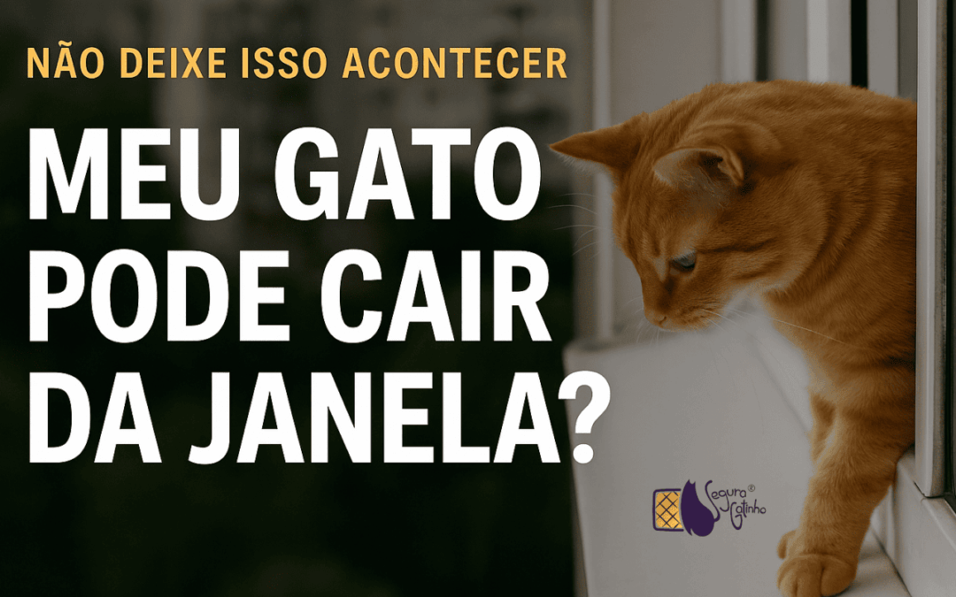 Meu gato pode cair da janela ?