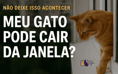 Meu gato pode cair da janela ?