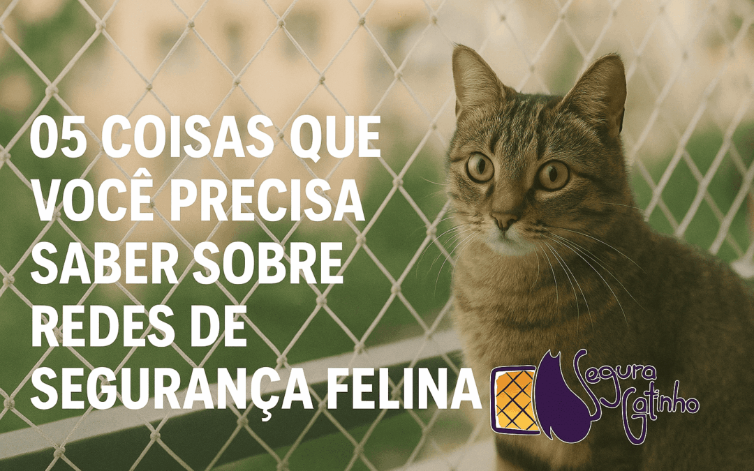 05 coisas que você precisa saber sobre redes de segurança felina