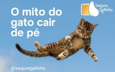 O mito do “gato sempre cair de pé”
